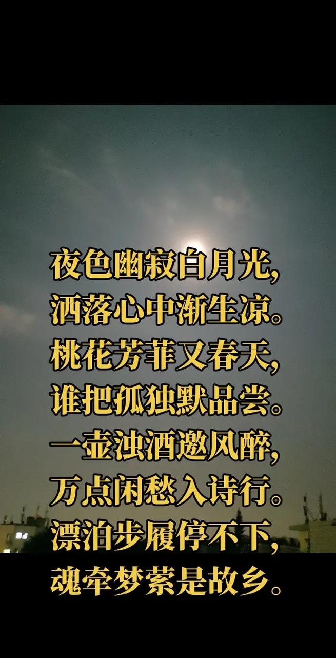 芳菲诗歌，何为诗魂？-图3