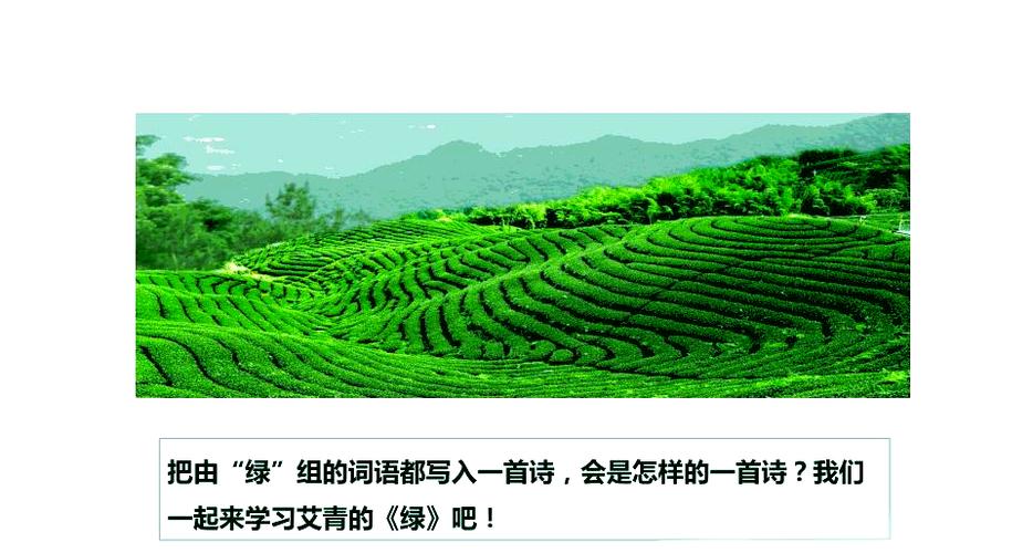 绿色环境的诗歌-图2