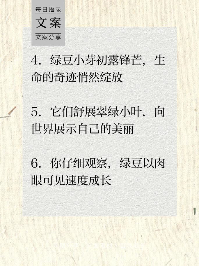 观察的名言，有何智慧？-图2