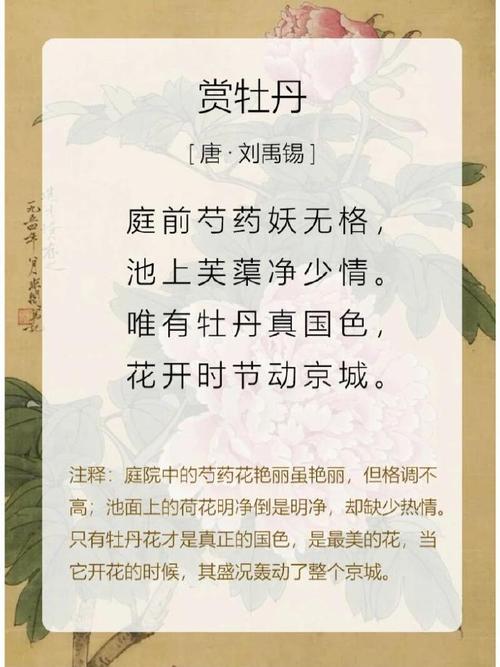 牡丹花入诗有何神韵？-图1