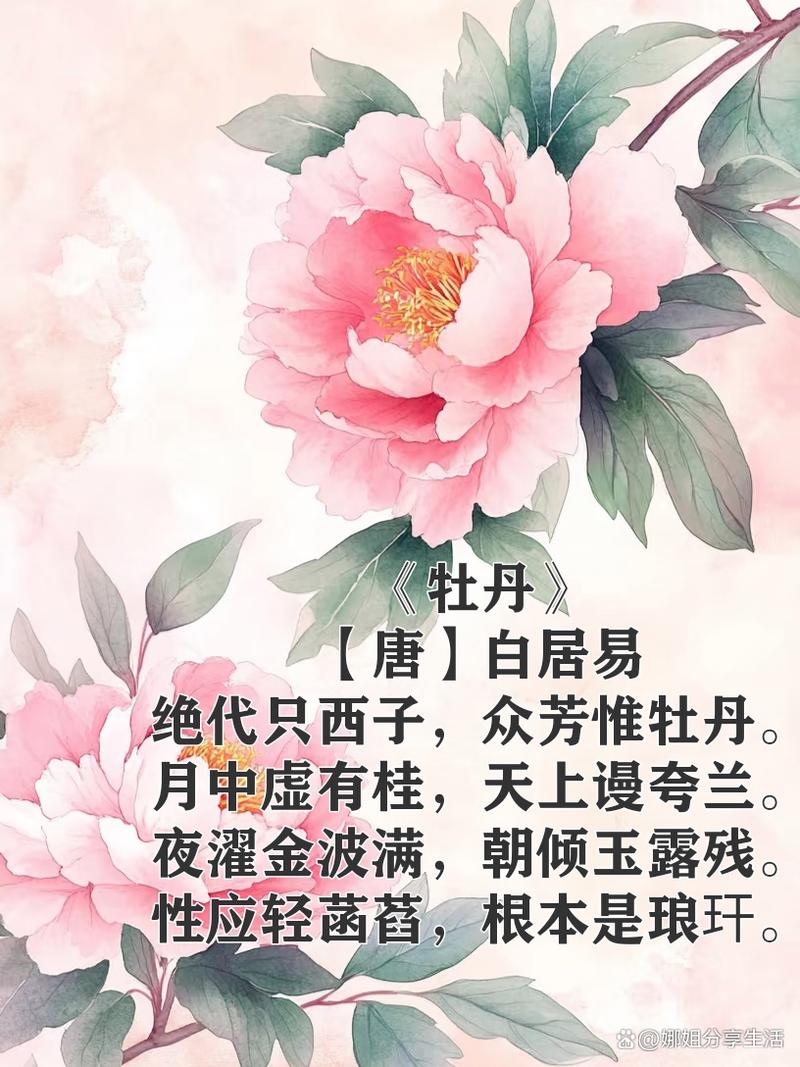 牡丹花入诗有何神韵？-图2