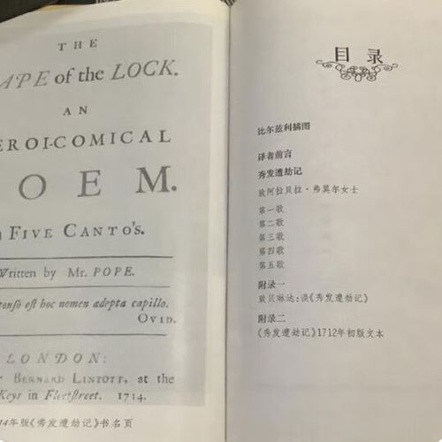 蒲柏诗歌有何独特魅力？-图3