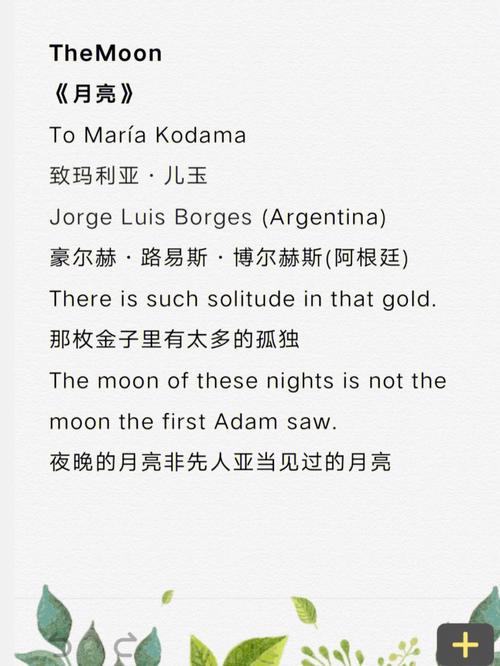 博尔赫斯英文诗有何独特魅力？-图3