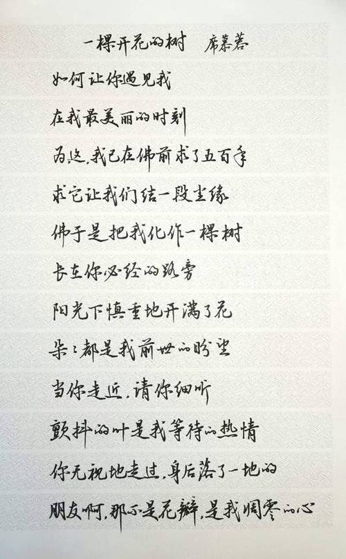 席慕容诗中藏着怎样的深情？-图2