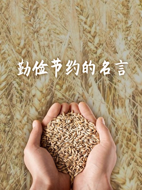 节俭为何成名言？-图1