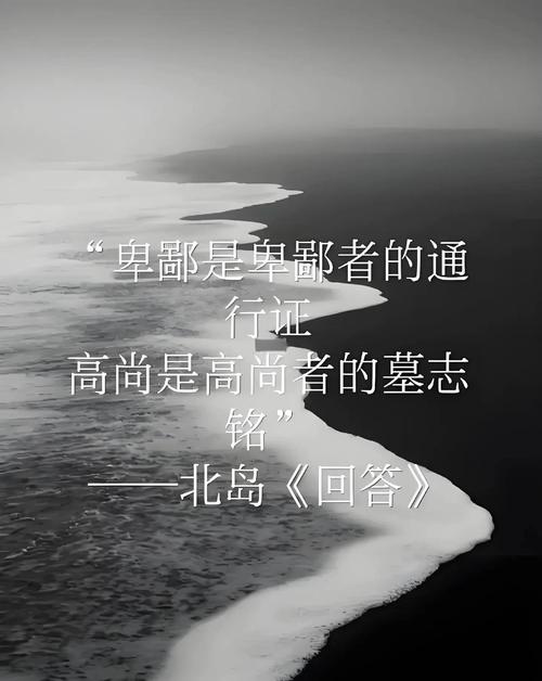 北岛诗歌 回答-图3