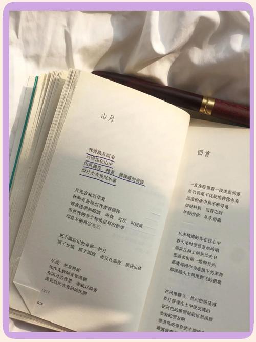 七里香诗中藏着什么？-图1