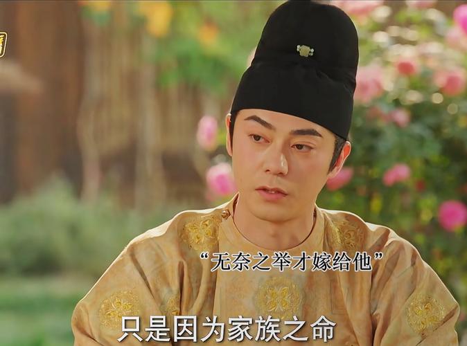 太子妃名言有哪些经典语录？-图2