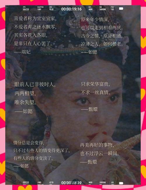 太子妃名言有哪些经典语录？-图3