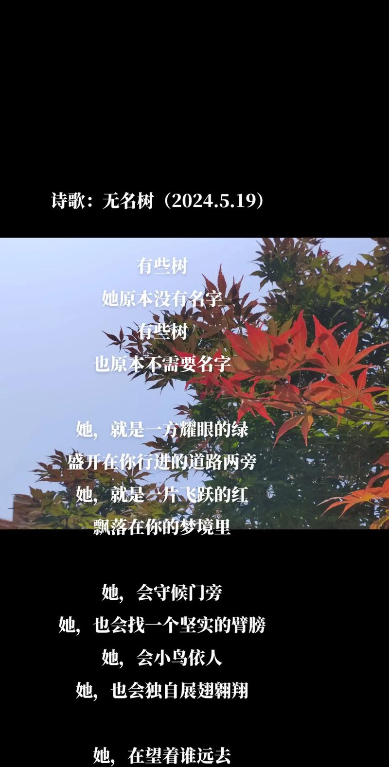 树的现代诗，如何写魂？-图2