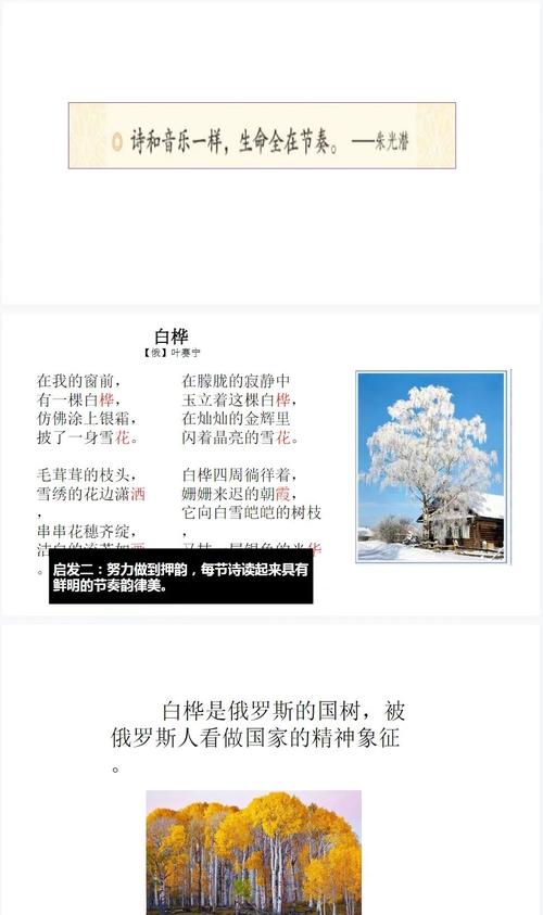 白桦诗歌的意思-图1