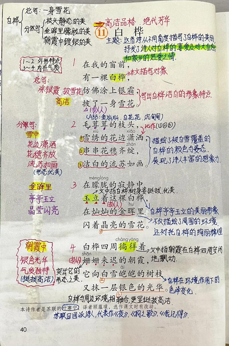 白桦诗歌的意思-图3