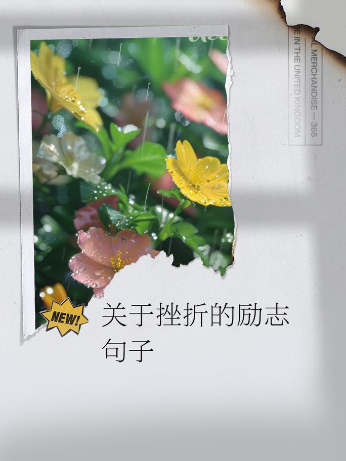 如何用名言战胜挫折?-图2 如何用名言战胜挫折?-图2