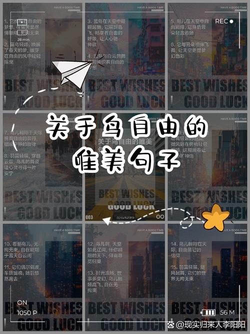 何为真正的自由名言？-图3