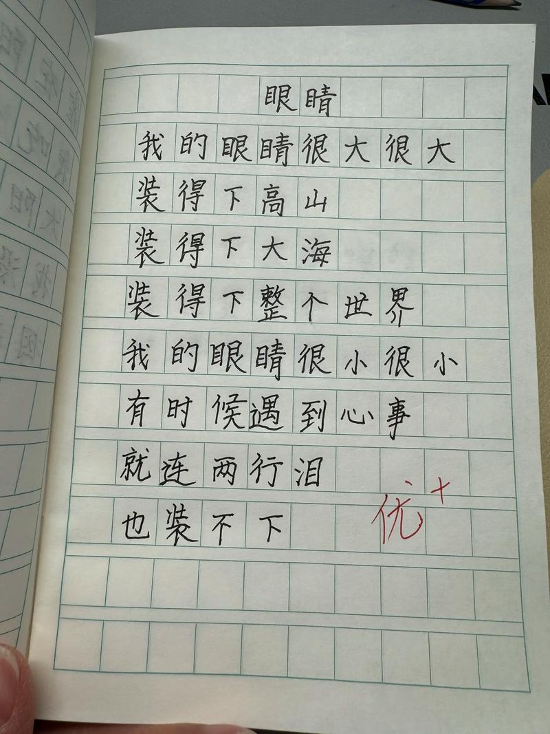 诗歌我很优秀，优秀在何处？-图2