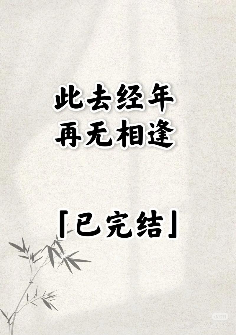 以经年留影诗歌-图1