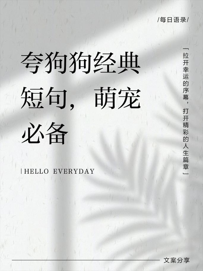 关于小狗的名言-图2