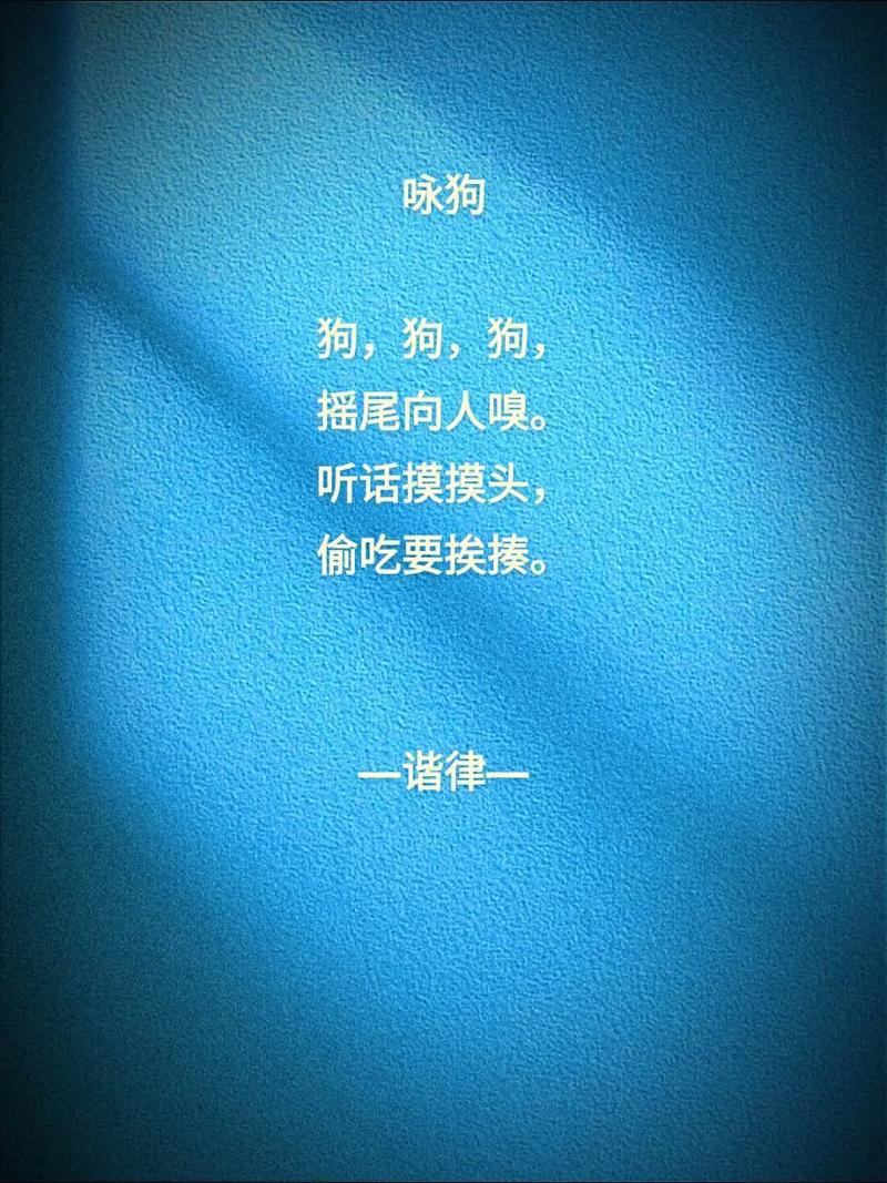 关于小狗的名言-图3