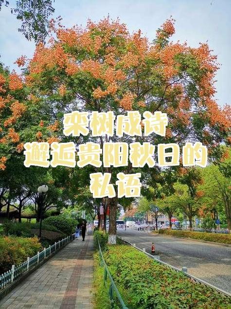 栾诗何意？-图2