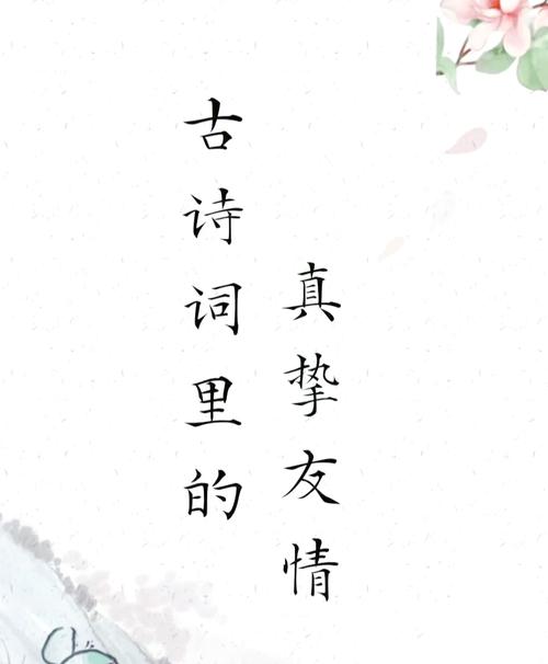 友情诗歌，何为动人真谛？-图2