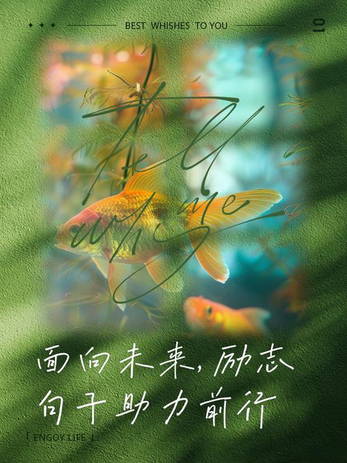 名言为谁而鸣?-图1 名言为谁而鸣?-图1