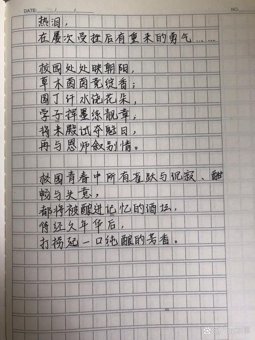 学校的诗歌-图2