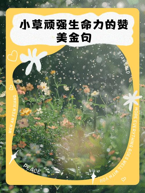 小草为何被历代文人赞美？-图1