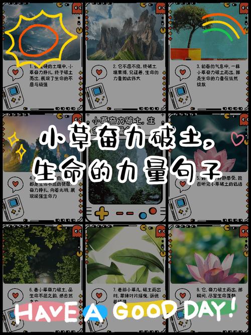 关于草的名言-图2