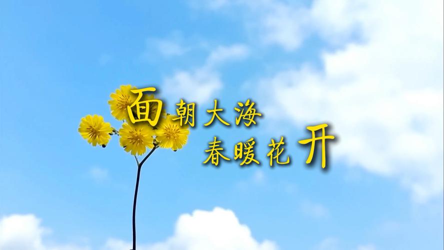 为何朗诵面朝大海，春暖花开？-图3