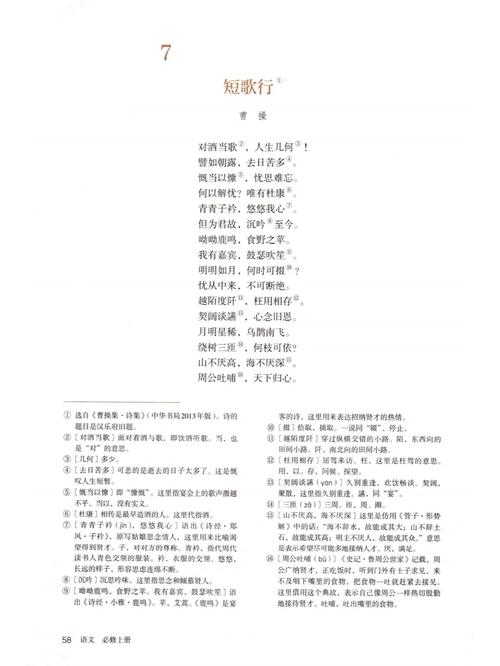 过程究竟诉说着怎样的生命体验？-图2