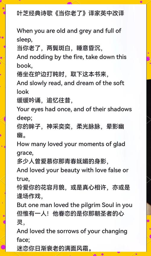 老了，诗心何寄？-图3