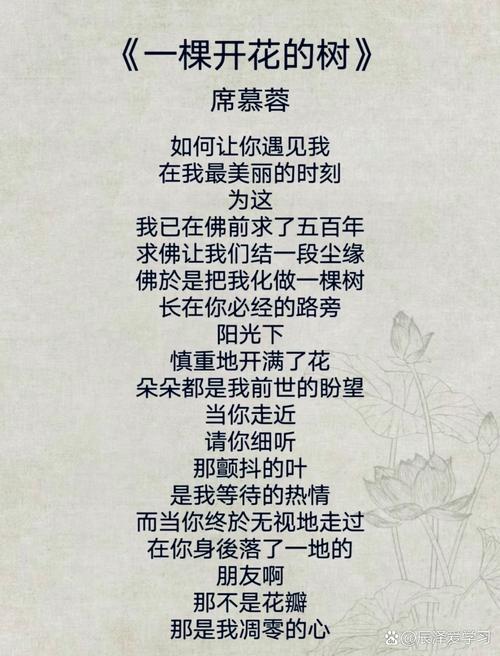 诗歌何求？-图1