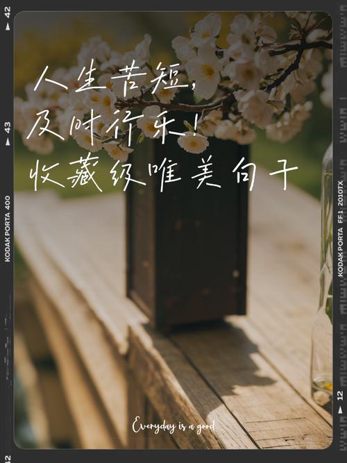 苦乐名言，真言还是假言？-图3