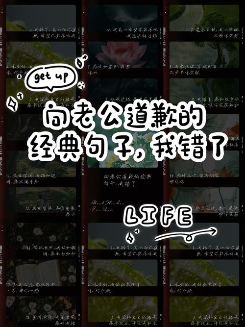 道歉名言,藏着怎样的智慧?-图2 道歉名言,藏着怎样的智慧?-图2