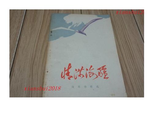 海军的诗，浪花里的吟唱？-图2