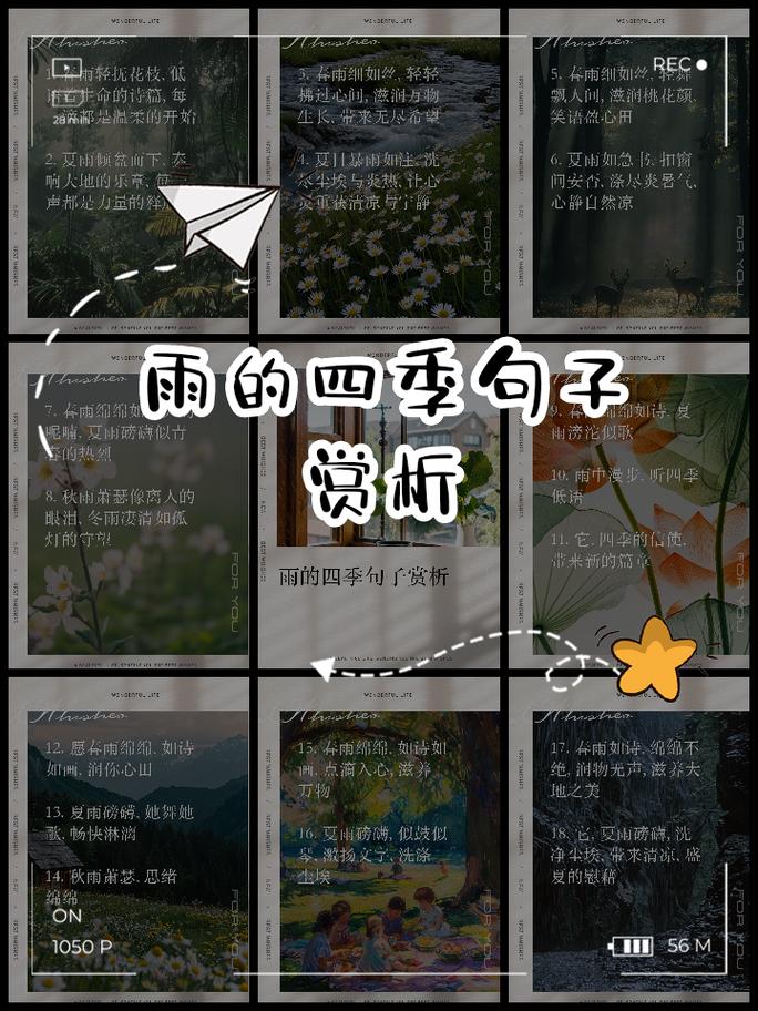 雨季藏着怎样的心事？-图1