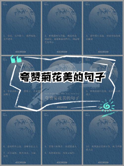 赞美菊花的名言-图2