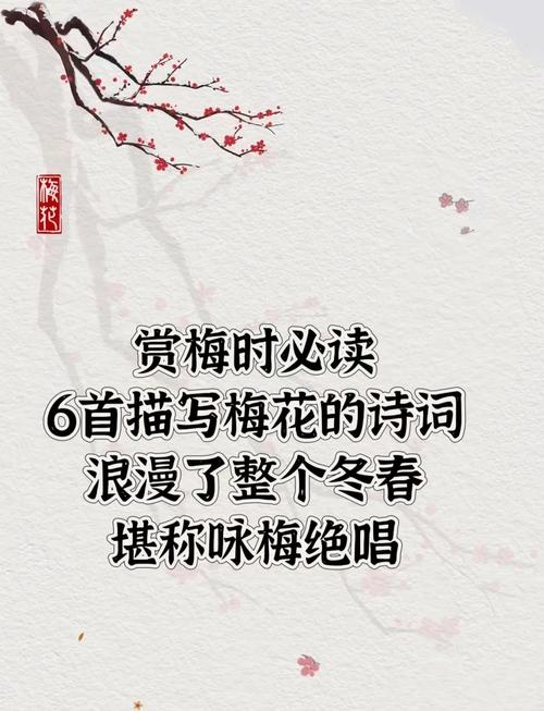 梅花颂诗如何咏梅魂？-图3