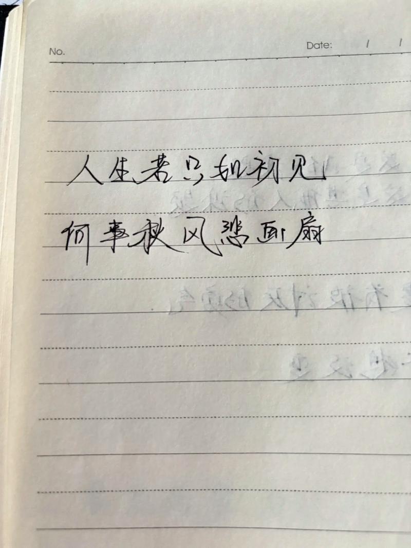 人生若只如初见，何事秋风悲画扇？-图3