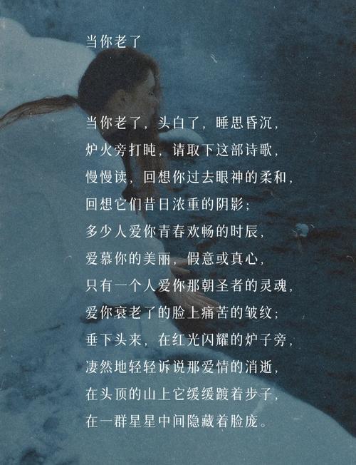 当我老了，诗歌如何诉说岁月？-图2