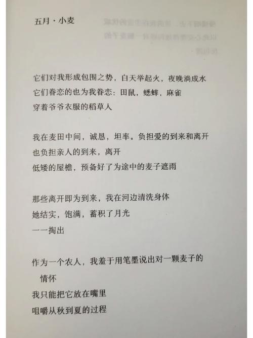 五月五日诗歌，藏着何种情思？-图2