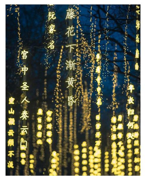 灯下诗魂为谁燃？-图2