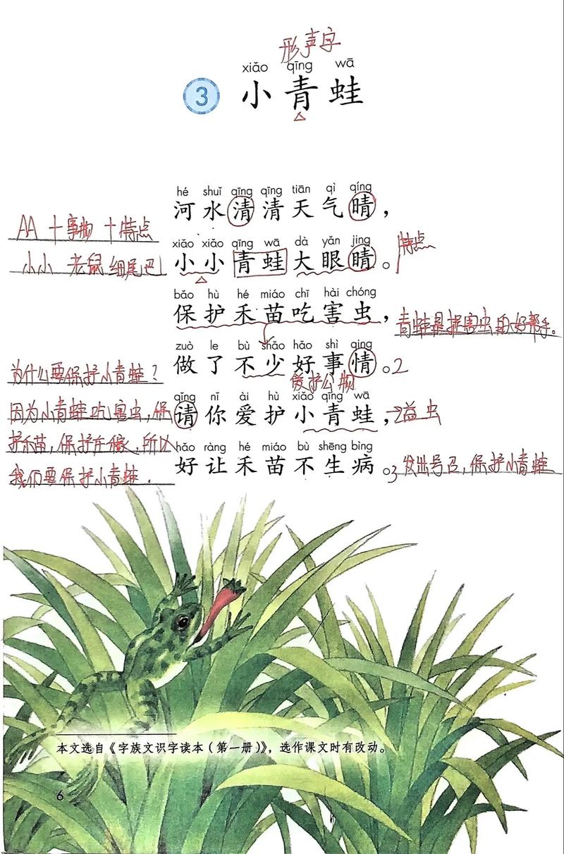 诗歌小青蛙，是青蛙在写诗吗？-图1