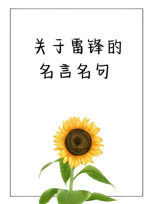 何为真正的好事名言？-图1