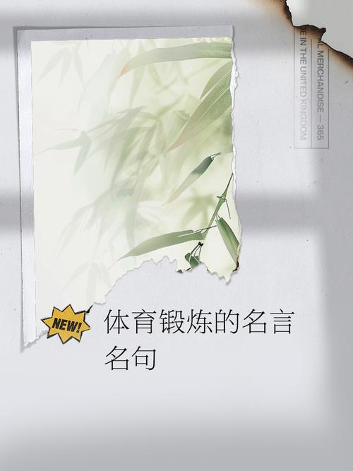 体育精神名言-图1 体育精神名言-图1