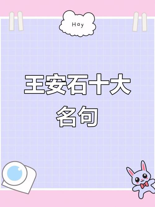 王安石名言有何深意？-图1