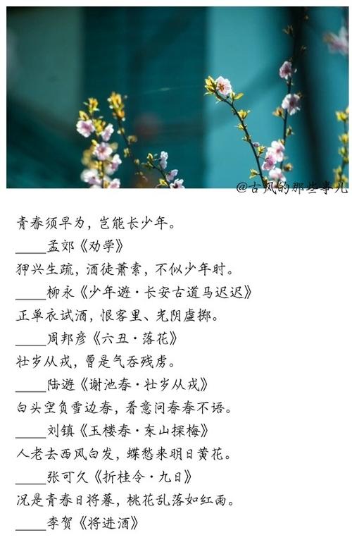 青青名言有何深意？-图2
