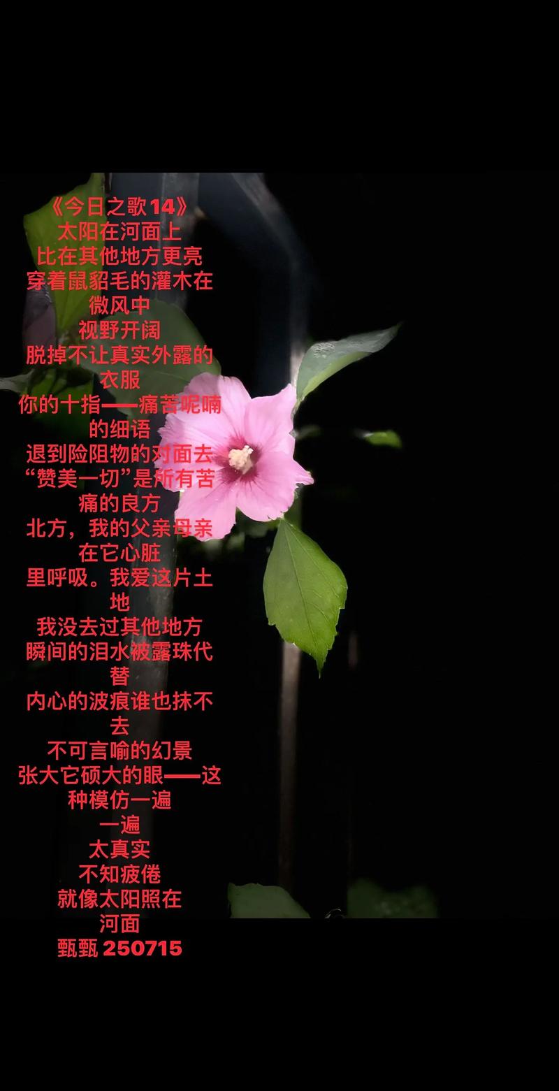 今日诗歌何解今日？-图3