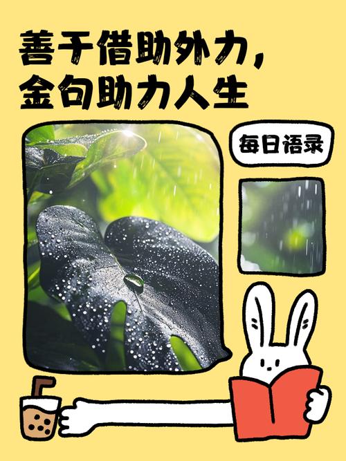 名言如何借外力？-图1