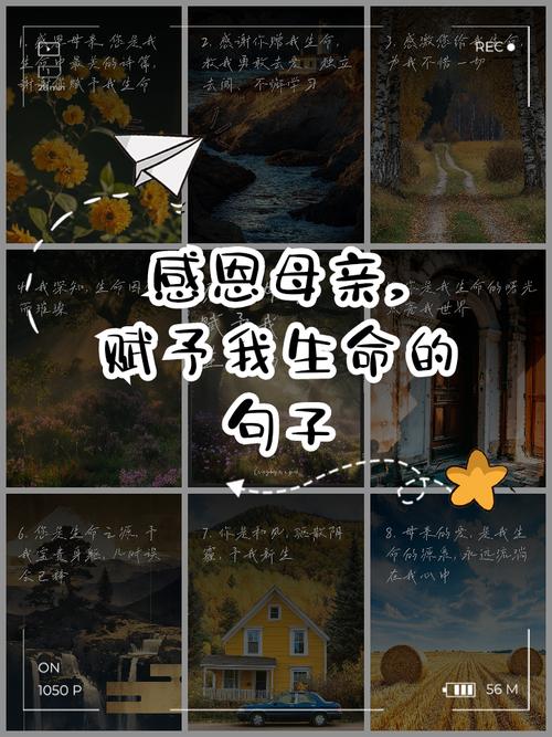 母爱名言，如何诠释深沉？-图3